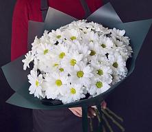 Букет цветов из:  Хризантемы #REPLACE_PRED# Дружбе
